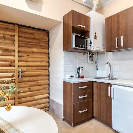 Apartament Comfortable On Franko Lwów